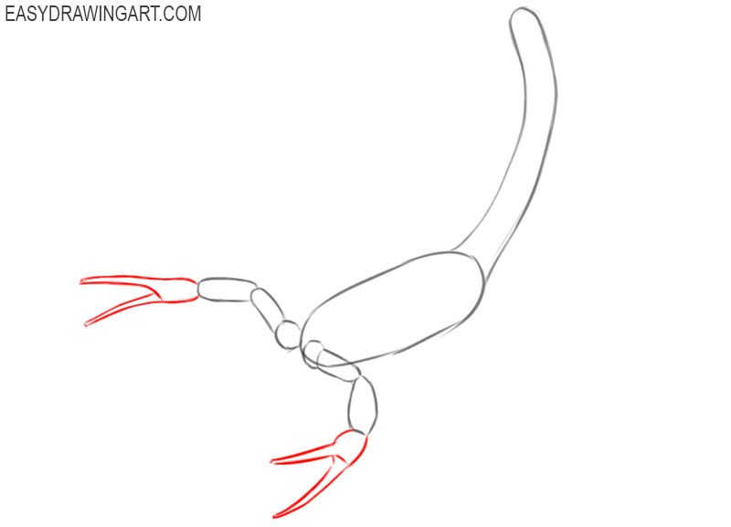 how to draw a scorpion step by step easy