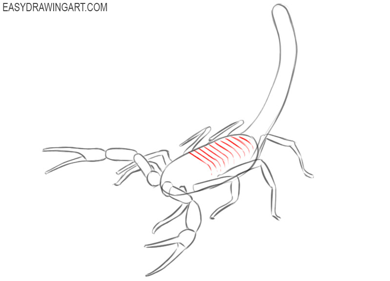how to draw a scorpion easy step by step