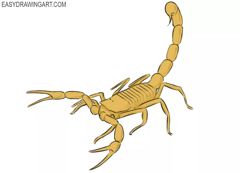 how to draw a scorpion