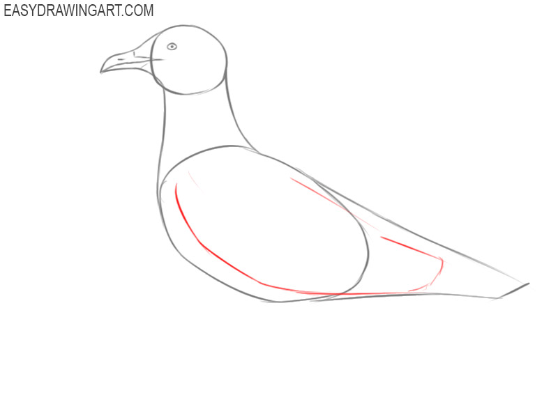 how to draw a seagull bird
