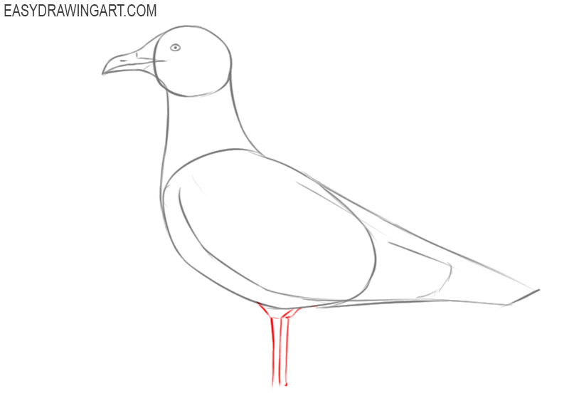 how to draw a seagull cartoon