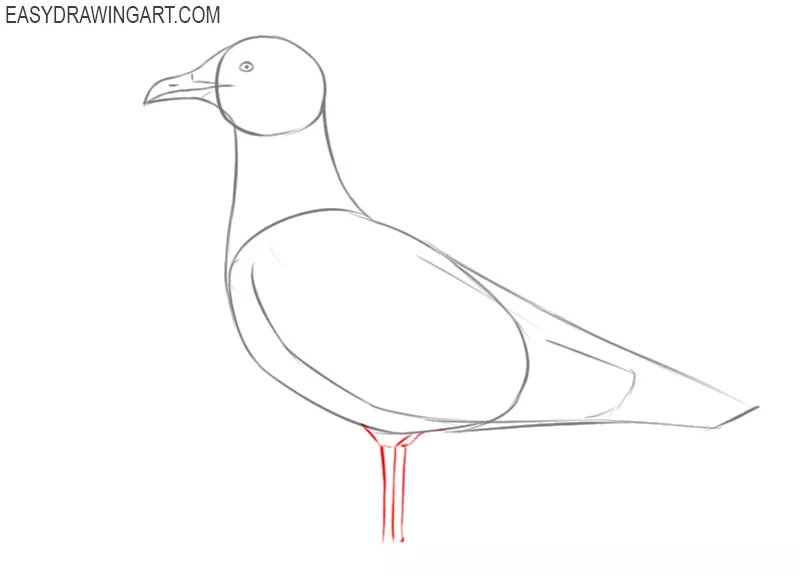 how to draw a seagull cartoon
