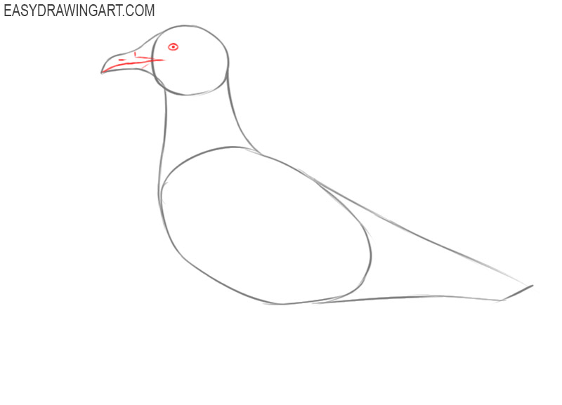 how to draw a seagull easy step by step