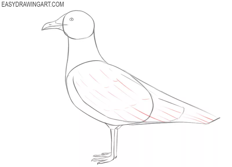 how to draw a seagull in easy steps