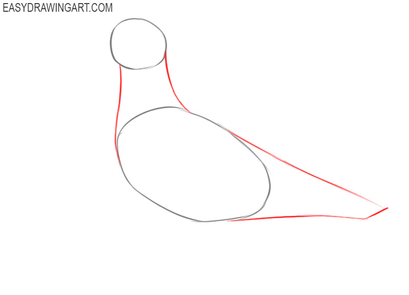 how to draw a seagull easy