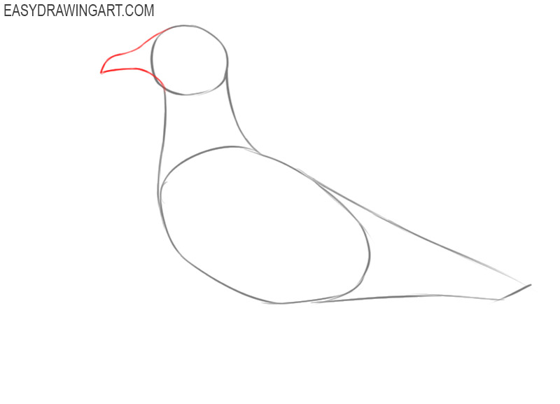 how to draw a seagull step by step