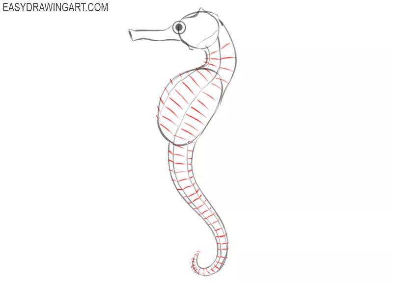 Seahorse Drawing Images – Browse 30,025 Stock Photos, Vectors, and Video |  Adobe Stock