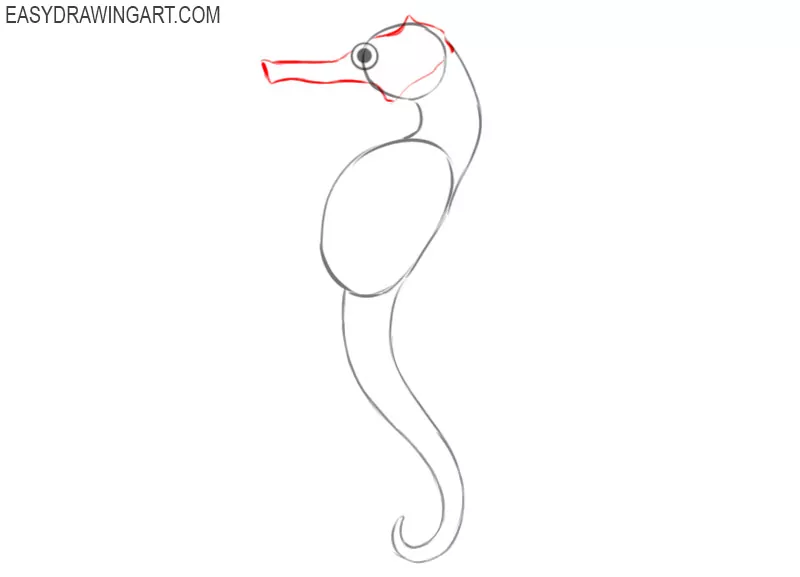 how to draw a seahorse for beginners