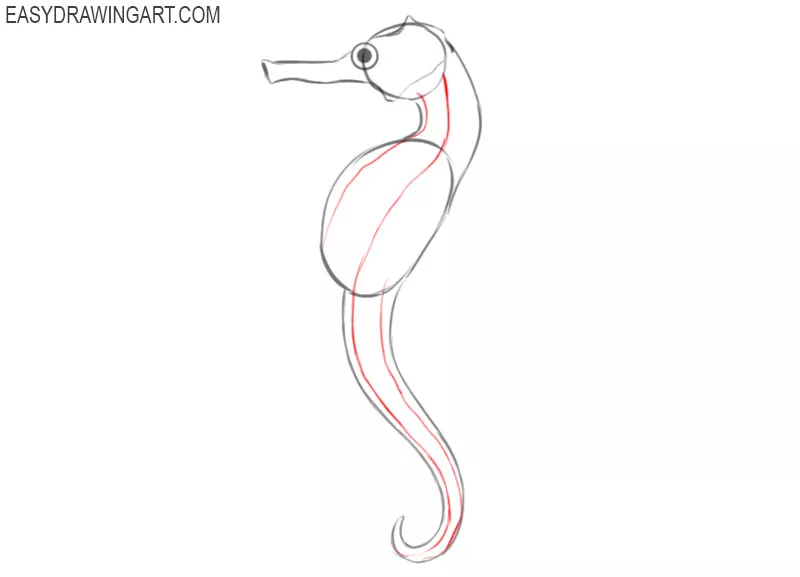 how to draw a seahorse simple
