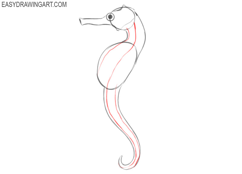 how to draw a seahorse simple