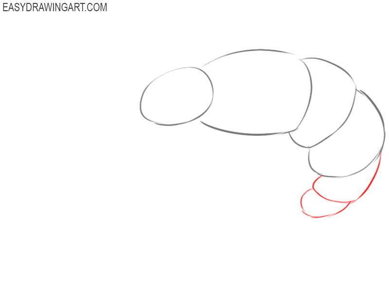 how to draw a shrimp step by step