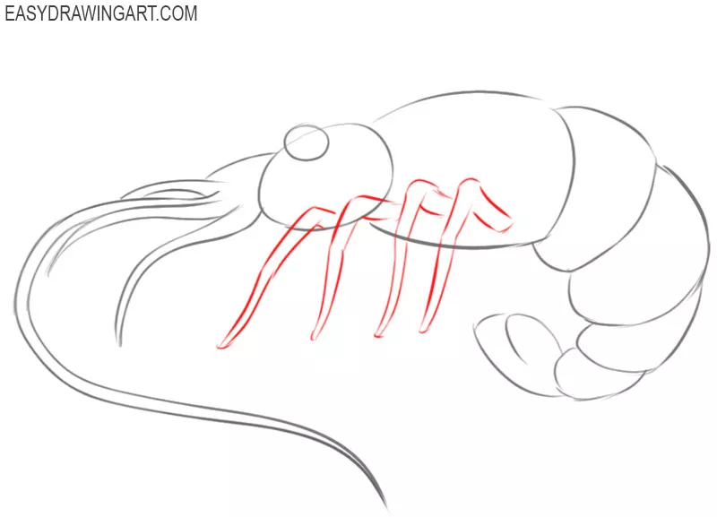Prawn vector vectors Black and White Stock Photos  Images  Alamy