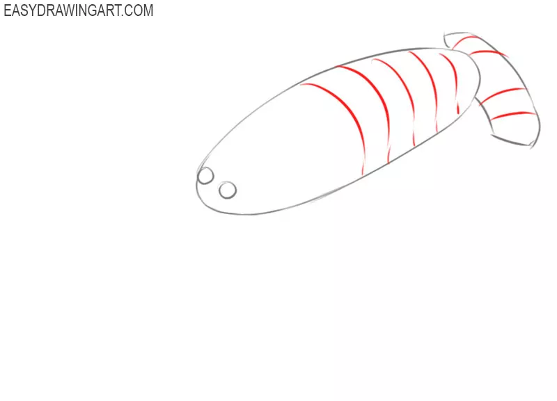 how to draw a simple crayfish
