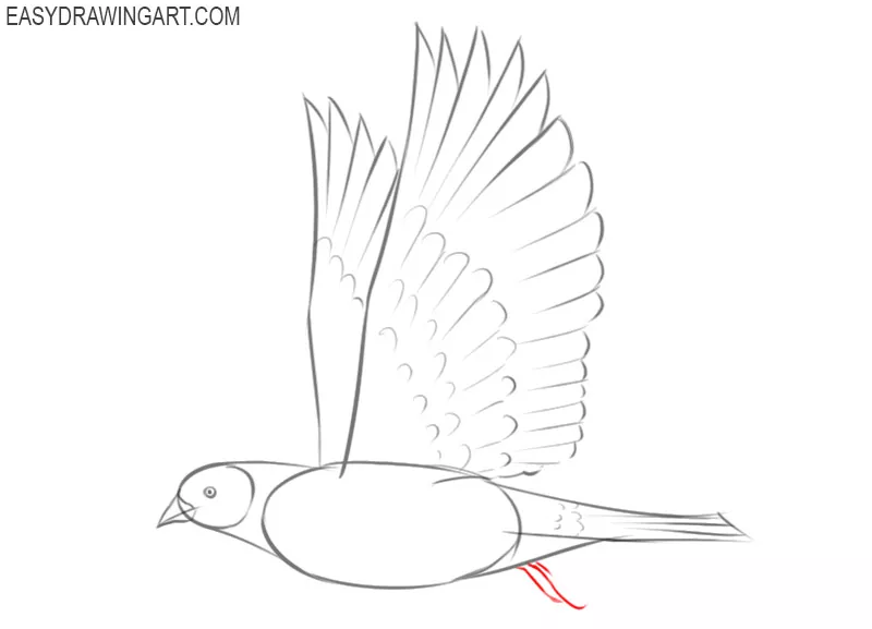 how to draw a simple dove bird