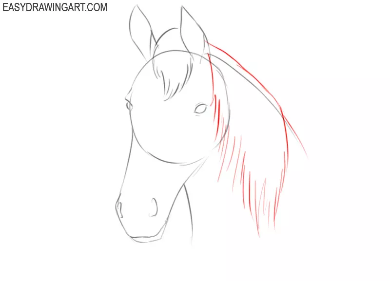 how to draw a simple horse head for beginners