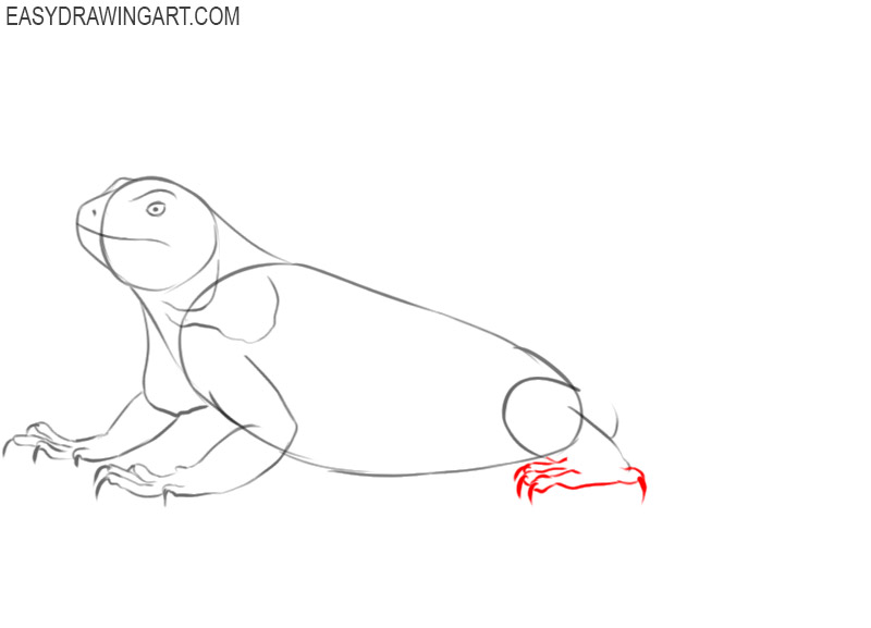 how to draw a simple iguana