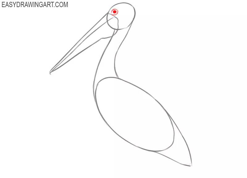 how to draw a simple pelican