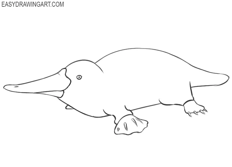how to draw a simple platypus
