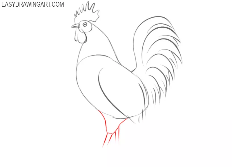 how to draw a simple rooster step by step