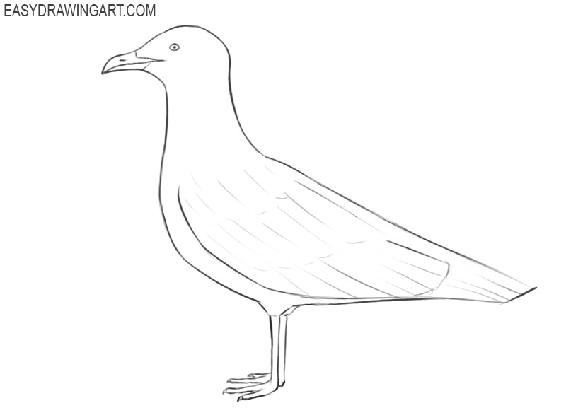 how to draw a simple seagull