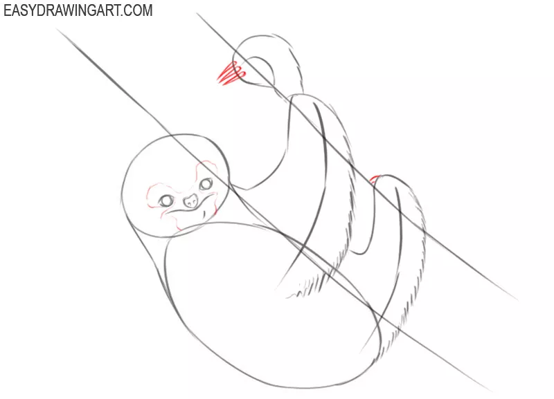 how to draw a sloth cute and easy