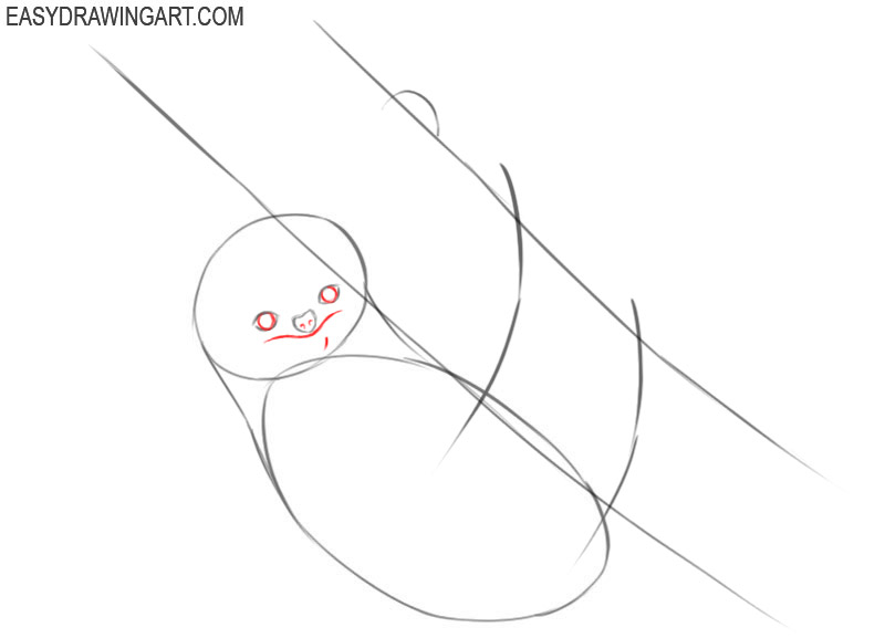 how to draw a sloth cute