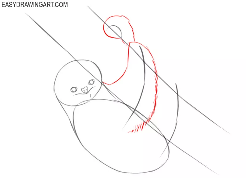 how to draw a sloth easy and cute