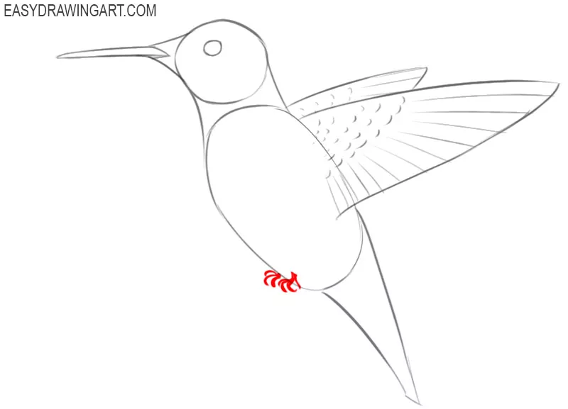 how to draw a small hummingbird