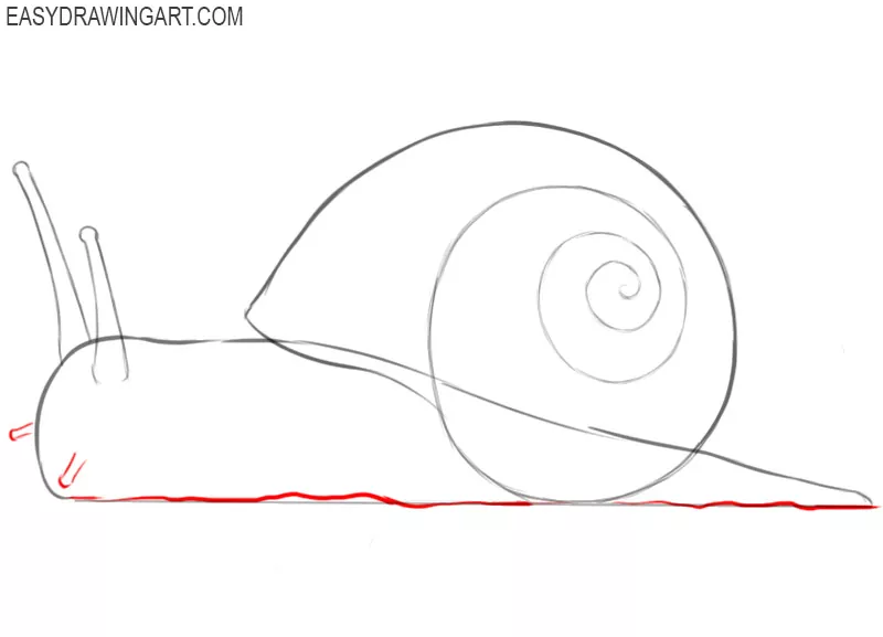 how to draw a snail shell step by step