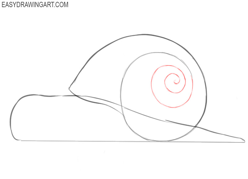 how to draw a snail step by step for beginners