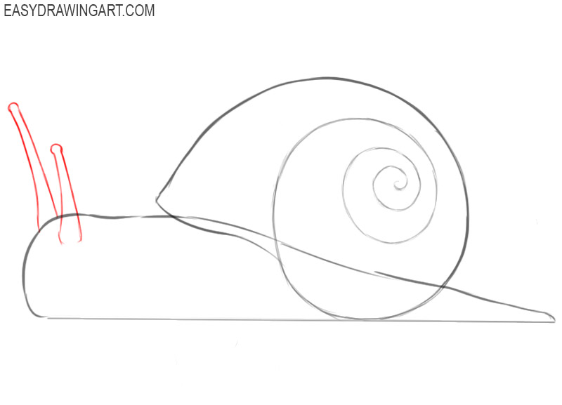 how to draw a snail step by step