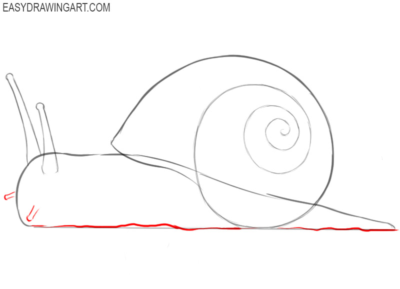 how to draw a snail shell step by step