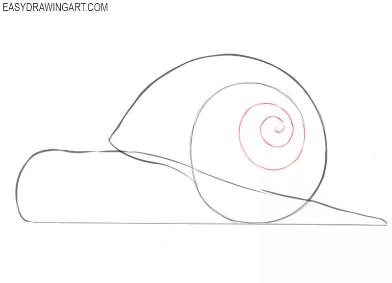 how to draw a snail step by step for beginners