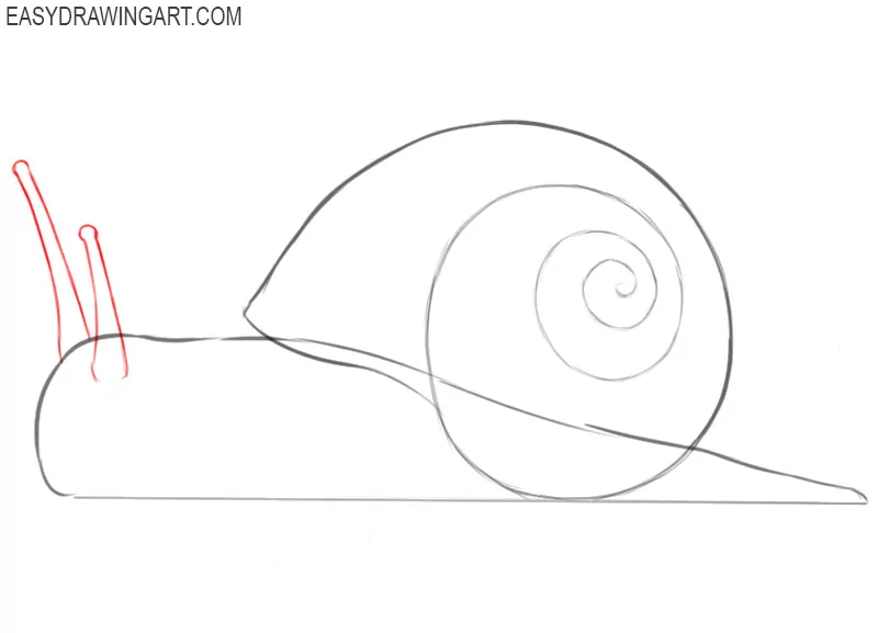 how to draw a snail step by step