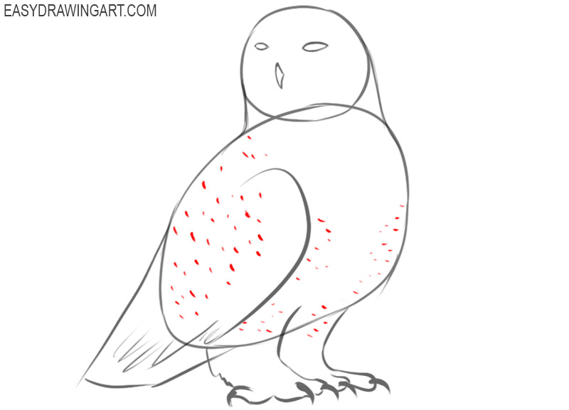 how to draw a snowy owl cartoon