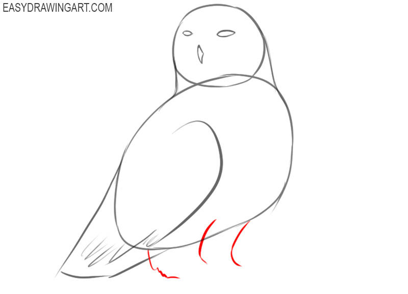 how to draw a snowy owl easy