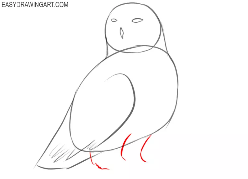 cute snowy owl drawing