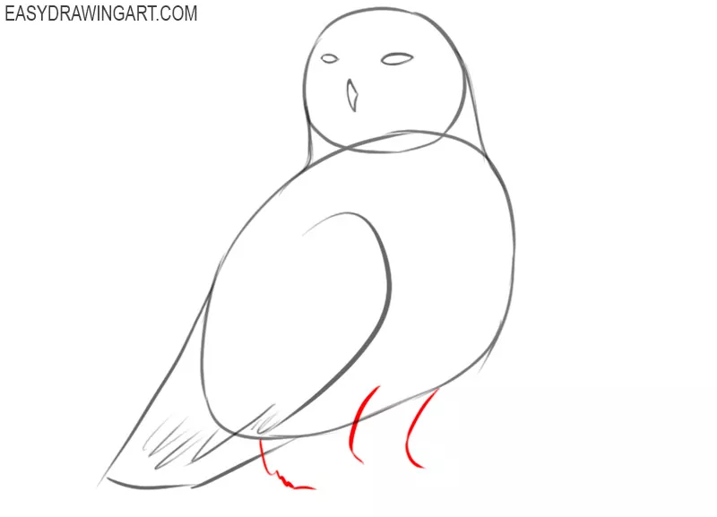 how to draw a snowy owl easy