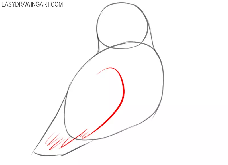 how to draw a snowy owl realistic