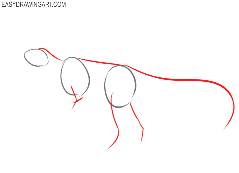 how to draw a spinosaurus step by step