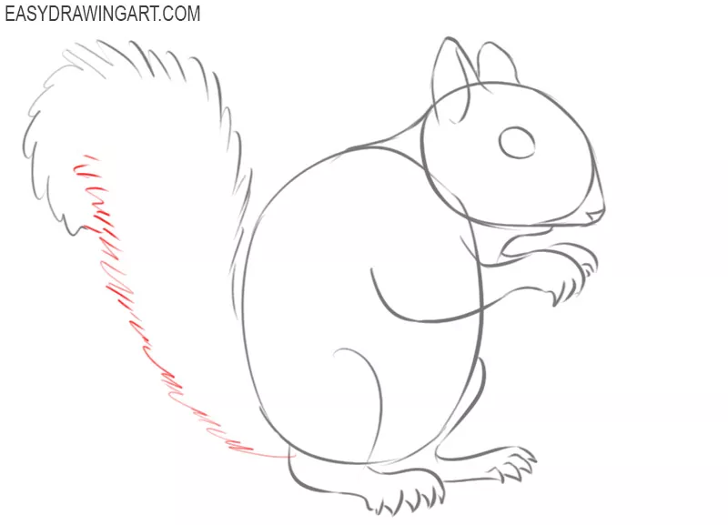 how to draw a squirrel draw so cute