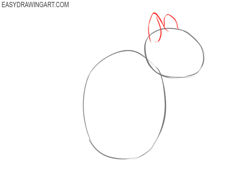 how to draw a squirrel easy