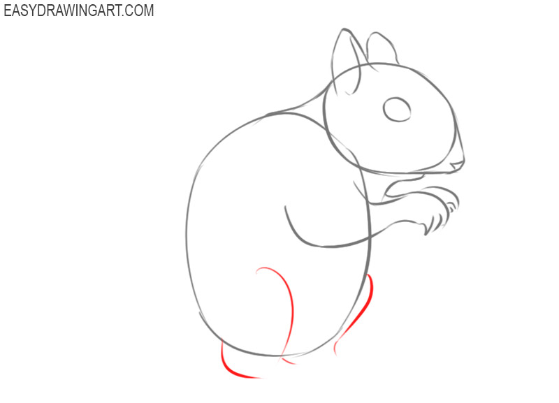 how to draw a squirrel step by step cartoon