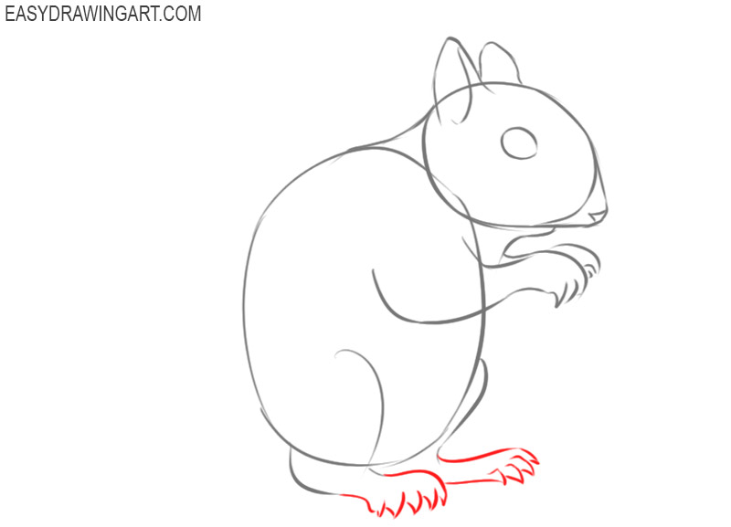how to draw a cute squirrel easy