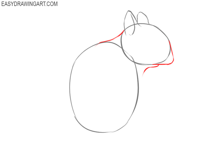 how to draw a squirrel step by step