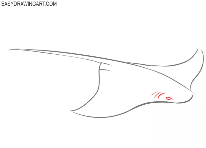 how to draw a stingray fish