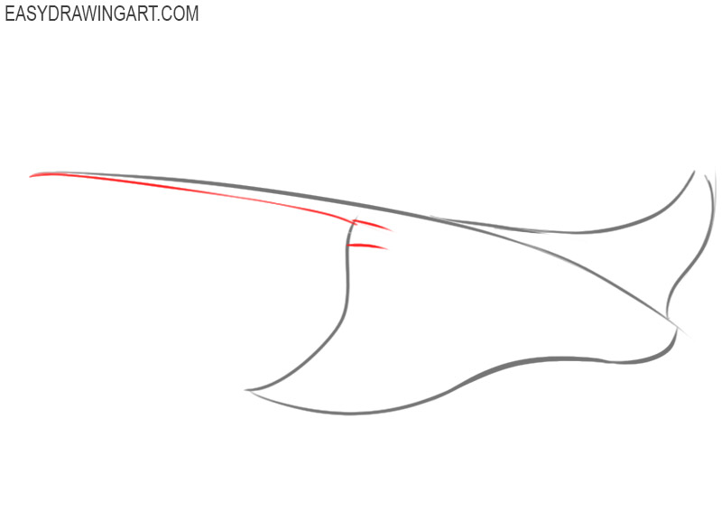 how to draw a cute stingray