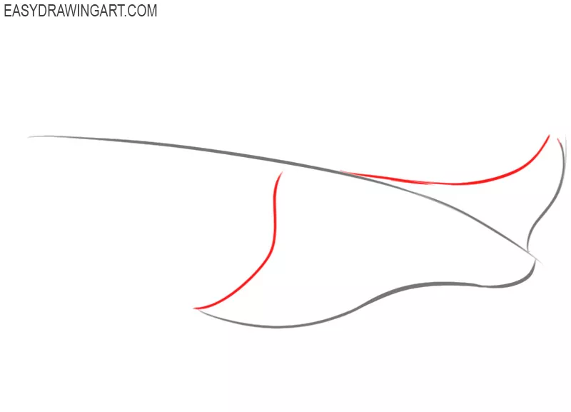 how to draw a stingray step by step easy