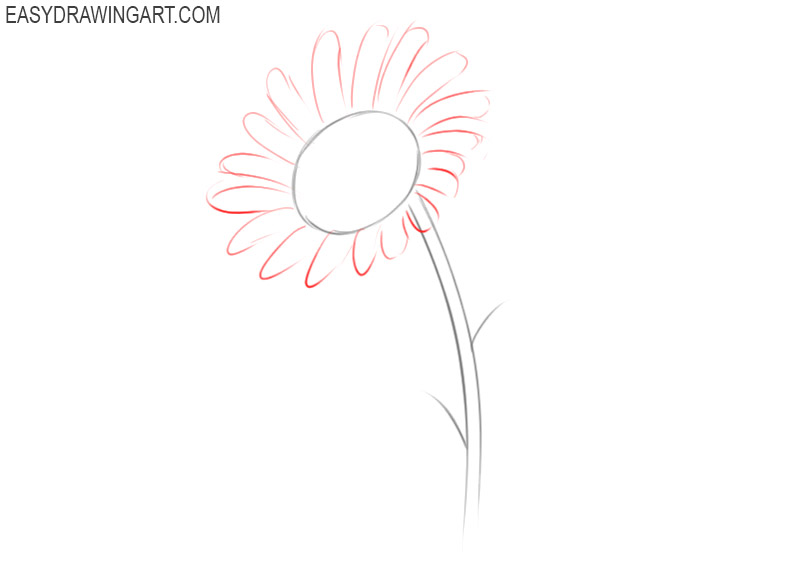 how to draw a sunflower easy