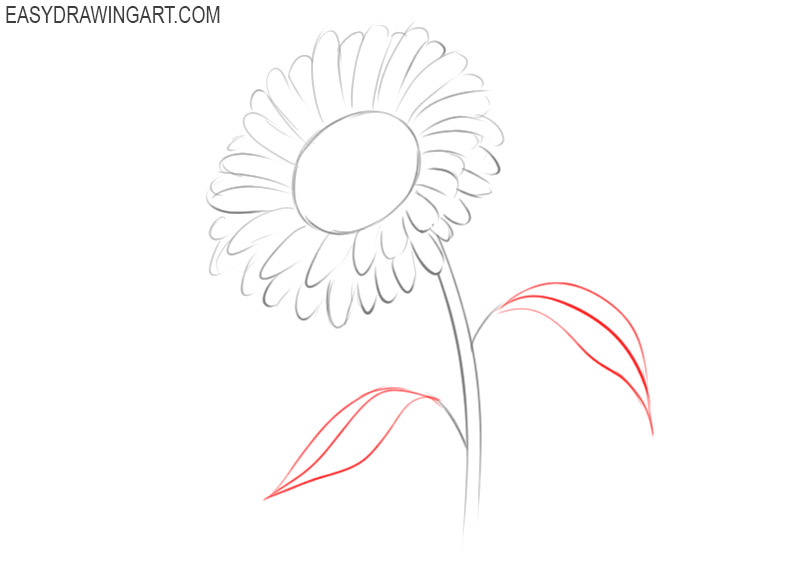 how to draw a sunflower for beginners